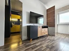 Papiniidu Apartment