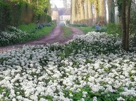 Chambre Fleur de Lys