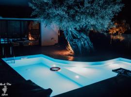 Villa di Vino, hotel din Lefkada