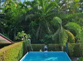 Amantra homestay & village