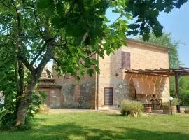 CHIANTI - Lovely Cottage with Parking & Garden!