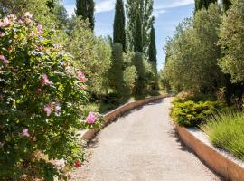 Domaine de la Myrtille, serviced apartment in Pertuis