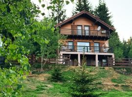 Family Nest Băișoara confort de top la 5 km de pârtia de schi, cu Wi-Fi rapid, hotel i Muntele Băişorii