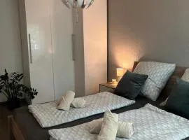 Renchtal Apartment, nahe Straßburg, Europapark und Schwarzwald