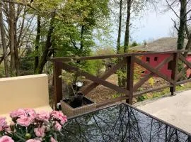 Pelion 7 Lives
