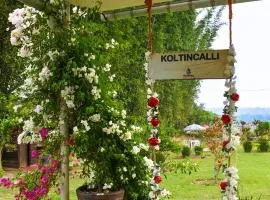 Koltincalli