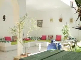 Belle maison avec jardin à Hammamet