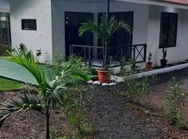 Selva Leona - Casa Lapas