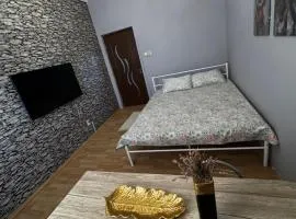Apartament 3 Camere-Rooms, Centru