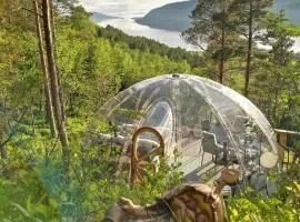 Glassigloo med panoramautsikt - Nordlys og stjernehimmel - Fosen