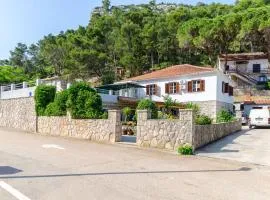 Apartment Kokic
