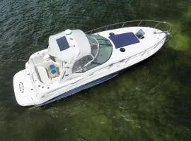 Saray 320