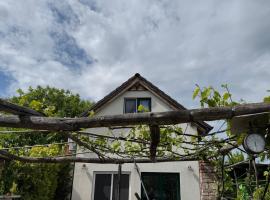 Comfort Garden, casa de campo em Dunajsk&aacute; Streda