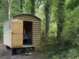 Little Brook Glamping
