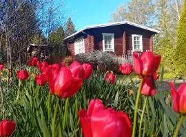 Herralan huvila lähellä PowerParkia Kauhava