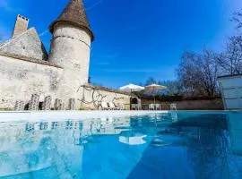 Castle in le Veurdre near Route Compostella, cleaning included
