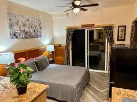 Studio Phoenix Pet Friendly Near Black Sand Beach & Volcanic Forest