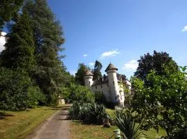 Chateau in Rhone Valley near Ski Resorts, cleaning included