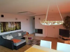 Ski & Hiking Forest Stay, cleaning included