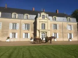 Chateau De Piedouault