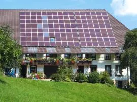 Holiday Home in Hornberg near Triberg Falls, cleaning included