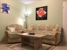 House in Plau near Plauer See Beach, cleaning included