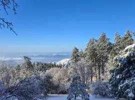 Stunning Deck Views Cozy Running Springs Cabin