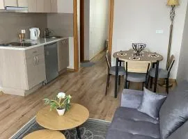 Virbališkės apartamentai