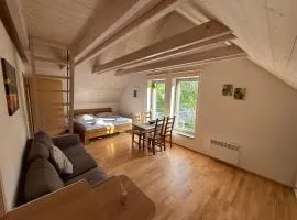 Apartmán U Venuše