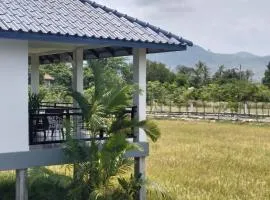 Baksaei Retreat Ricefield Villas