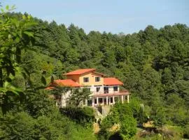 Jhule Retreat