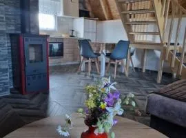 D&N place - forest house Zabljak