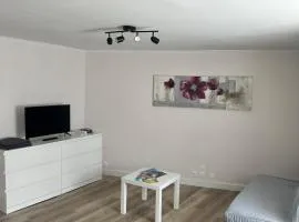 Grand studio tout confort