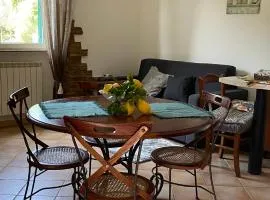 Appartamento Andora Tra gli ulivi