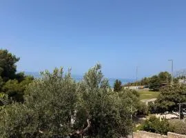 Olive View Apartment Brela - pet friendly