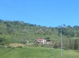 MADONIE Guest House