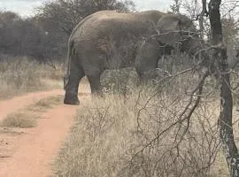 Dinokeng Bush Cabin