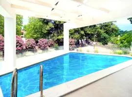 Villa Blue Light