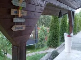 Vila Sabo- Casa de vacanta cu lac de pescuit si ciubar cu hidromasaj
