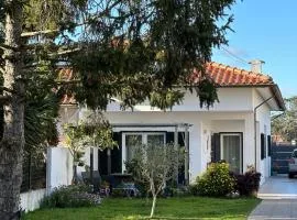 Casa das Camélias
