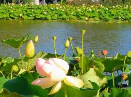 Wooden chalet, for 4 people air-conditioned, hôtel à Saint-Cyr-en-Talmondais