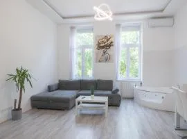 Luxury apartment in the central