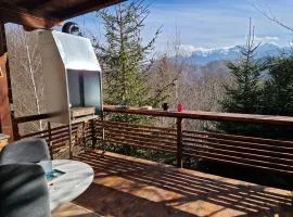 Chalet Glasul Padurii