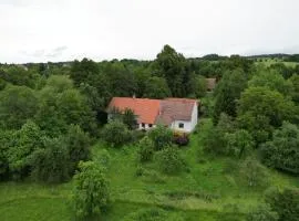 Hlinné v Orlických horách