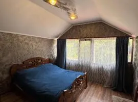 Guest house dilijan