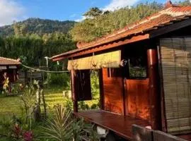 Yucan Ecostay Bedugul