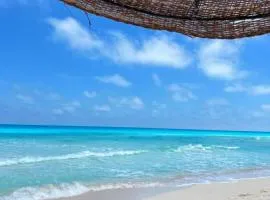 قريه اللوتسLotus for families only