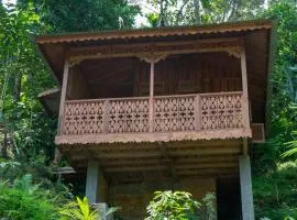 Orangutan Lodge and Jungle Trekking Activity