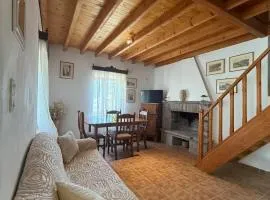 Traditional House