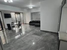 Apartament 3 camera Dem Radulescu H&H
